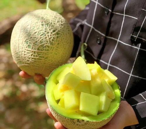 娱乐圈有什么瓜可以吃,揭秘明星幕后故事与精彩瞬间  第2张