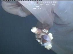 妖怪最新爆料新闻视频,神秘视频揭秘奇幻世界真相 第3张 妖怪最新爆料新闻视频,神秘视频揭秘奇幻世界真相 第3张