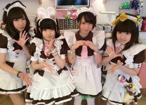 女仆咖啡全部爆料视频,揭秘幕后故事与精彩瞬间  第3张