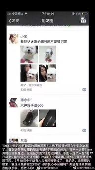 南宁爆料网友是谁啊视频,视频背后的神秘人物  第2张