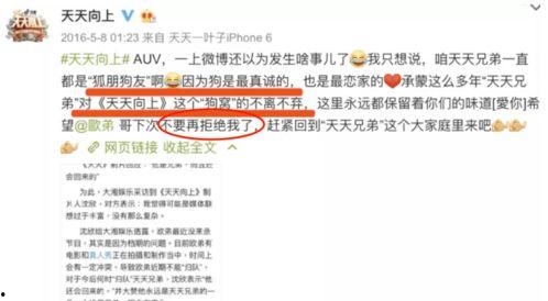 一人一句娱乐圈爆料,明星背后的惊人真相! 第3张 一人一句娱乐圈爆料,明星背后的惊人真相! 第3张