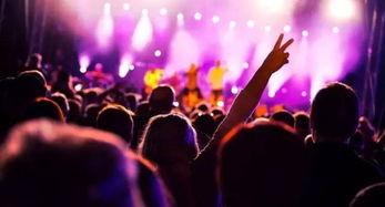 诸暨音乐节爆料视频最新,精彩瞬间盘点 第1张 诸暨音乐节爆料视频最新,精彩瞬间盘点 第1张